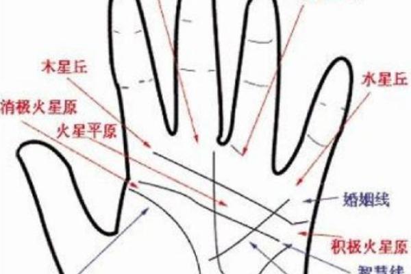左先天手相揭秘：掌握命运密码，解锁人生财富