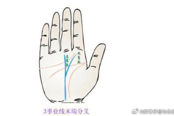 左先天手相揭秘：掌握命运密码，解锁人生财富
