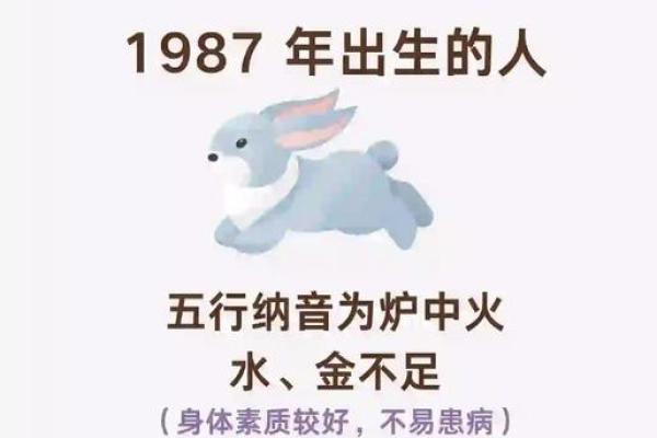 56属兔大揭秘：五行命理运势全解析