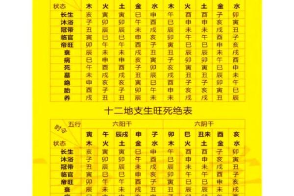 掌握十天干土元素的喜忌，助你化解命运难题