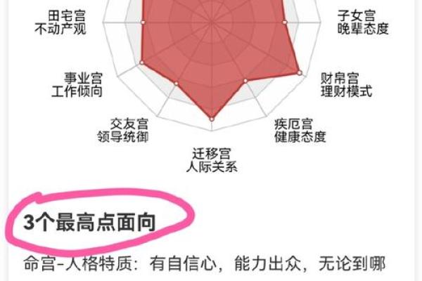 想知道未来如何？紫薇排盘解盘帮你揭开人生谜团