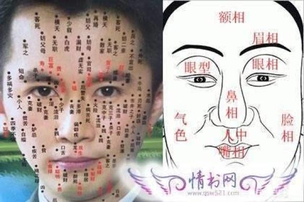 脚心痣的神奇力量：你的命运线在这里