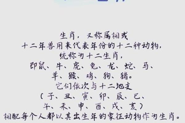 生肖食趣：揭秘十二生肖的独特美食密码