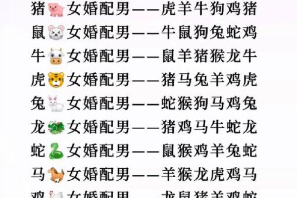 兔男龙女缘定三生？生肖配对大揭秘