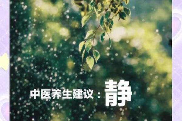 揭开静字五行的神秘面纱，改变你的人生轨迹！