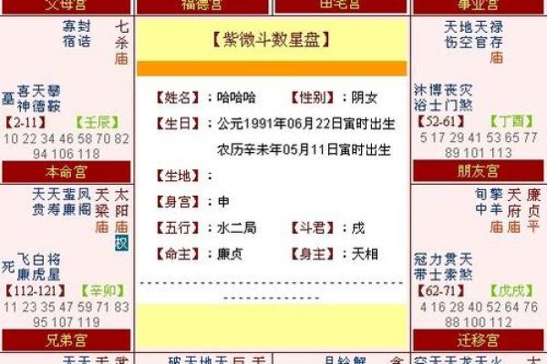 通过八字排盘，华易免费算命助你走向人生巅峰