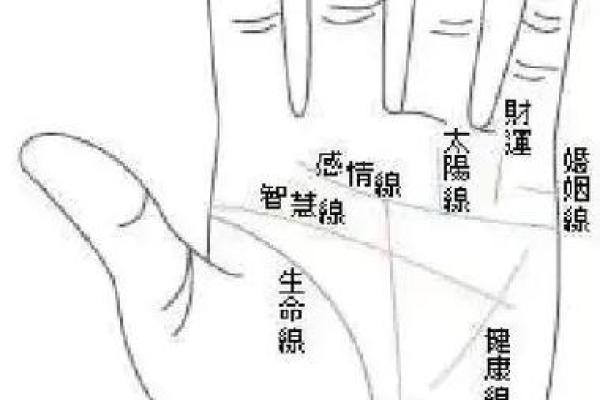 揭秘手相中的财运密码：一招看透财富运势