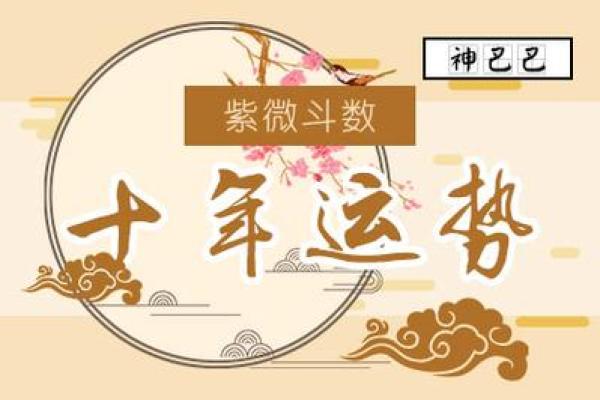 想快速掌握命理奥秘？免费紫薇排盘助你一探究竟！