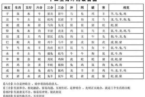 属龙之人五行命理揭秘