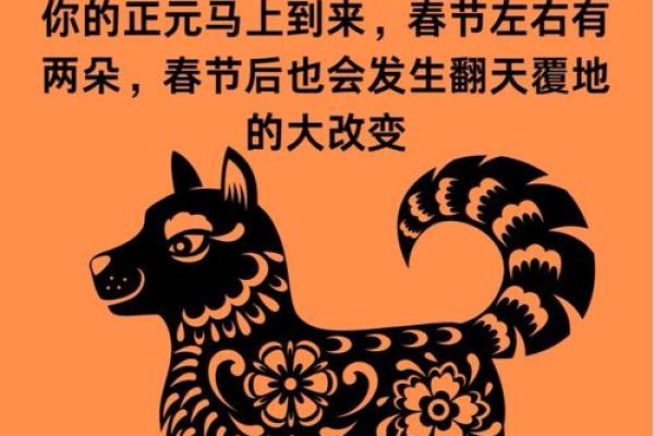 属狗配属鼠，命中注定？