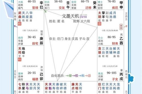 五国紫微排盘的深层奥秘，解锁命运的密码