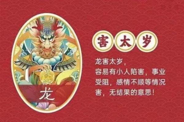生肖龙大官：一跃龙门，权势滔天