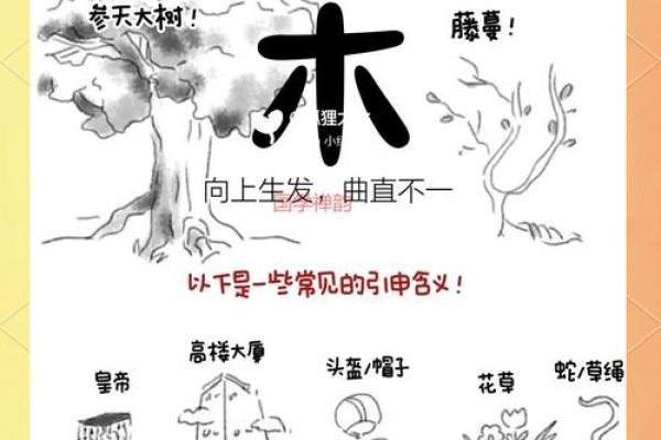 天干为何与果实紧密相连？你不可不知的文化密码