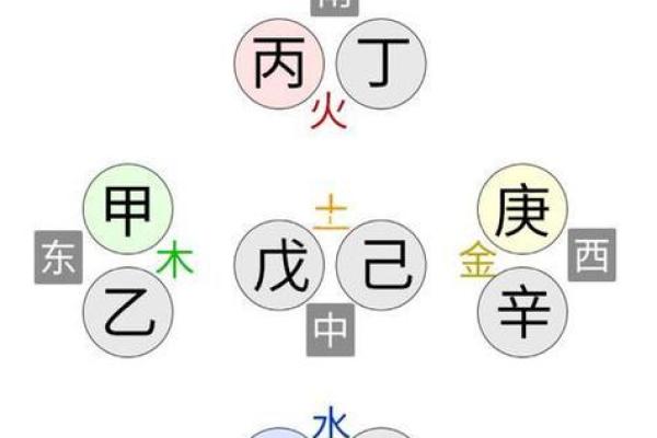 天干凤凰：解密五行中的神秘力量