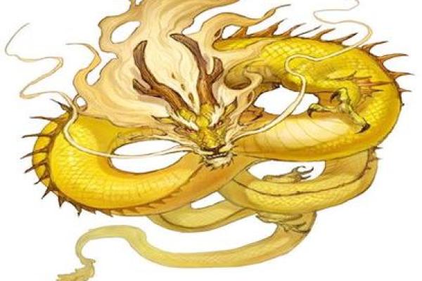 土龙命，揭秘你出生的季节里的神秘运势