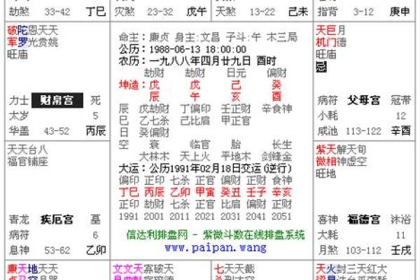 紫薇命盘宫位解读：如何精准把握人生方向