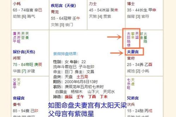紫薇命盘宫位解读：如何精准把握人生方向