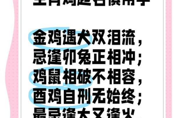 鸡年生肖配对指南：找到你的灵魂伴侣