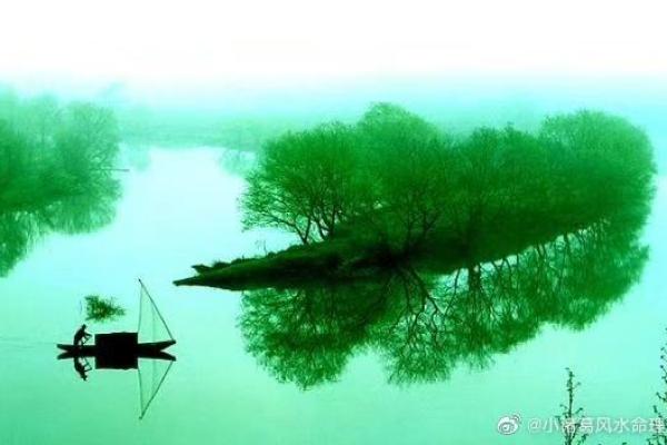 如何通过张成达命理风水书实现财富与健康双丰收