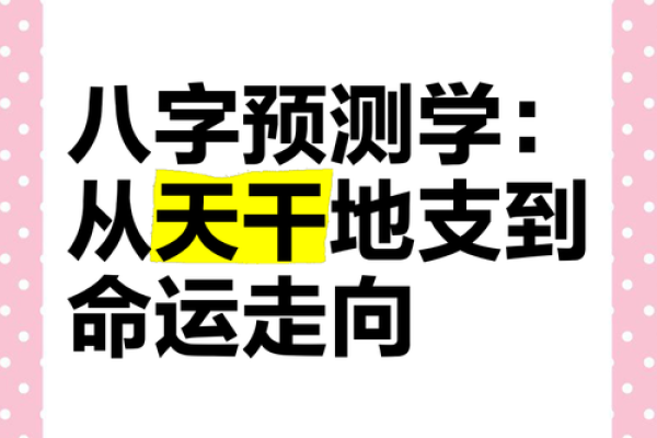 轻松学懂八字命理基础，走向精准命运解析