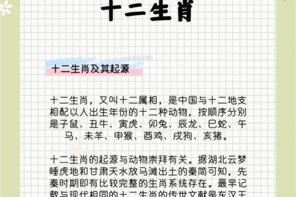 神奇生肖，揭秘十二生肖的神秘魅力