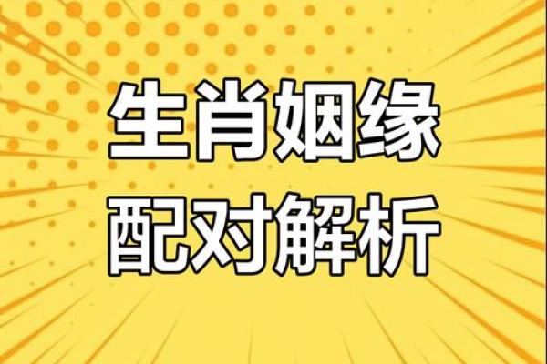 属牛与属蛇：天生一对的生肖配对分析