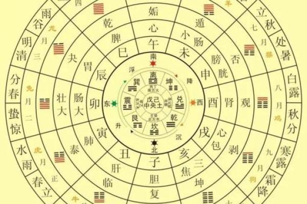 鬼生肖惊魂录：揭秘神秘生肖之谜