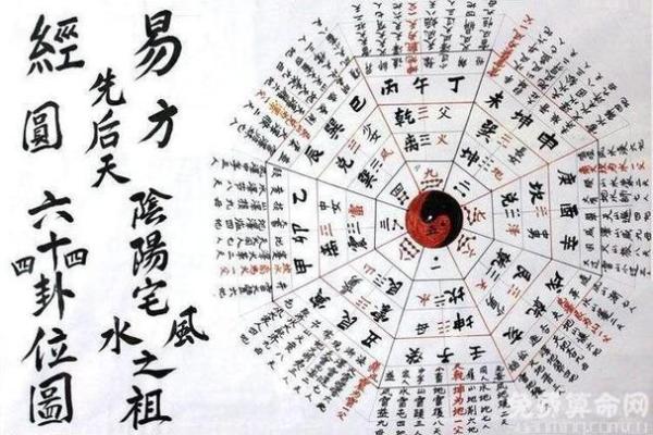 戊寅年天干命理知识大揭秘，掌握人生走向