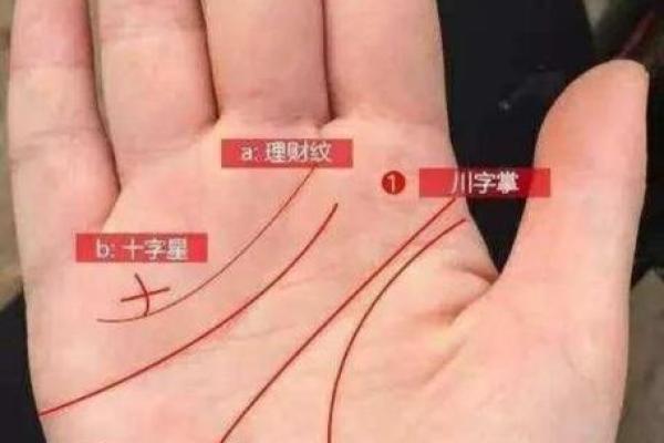 一招看手相，揭秘你的姓氏之谜