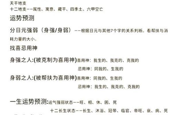甲五行属木吗？全面解析五行命理