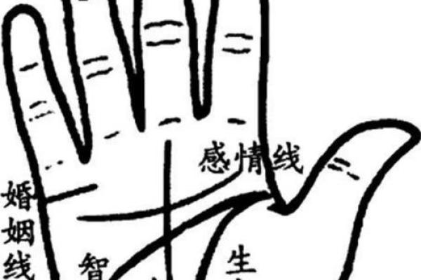破解命运密码：手相中隐藏的无数条障碍纹，揭示你的人生挑战与机遇