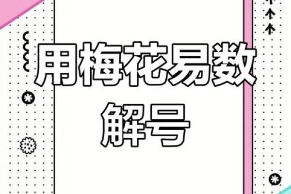 一部手机排盘，梅花易数帮你揭开命运的神秘面纱