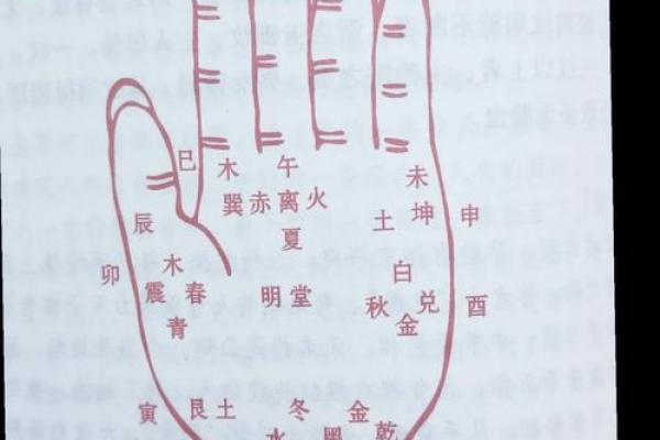 揭秘手相奥秘，揭秘命运之谜