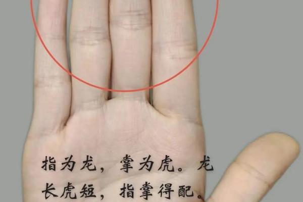 揭秘财运亨通女手相：掌握运势，轻松致富