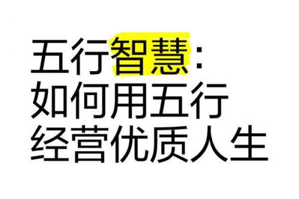 掌握五行相乘，让你的生活步入新高度
