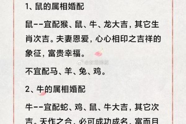 生肖配对攻略：揭秘最适合你的另一半