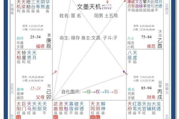 想知道未来运势？学会根据出生年月排紫微命盘
