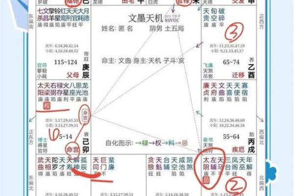想知道未来运势？学会根据出生年月排紫微命盘