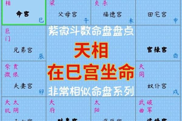 免费紫微斗数排盘，快速了解命运走势！
