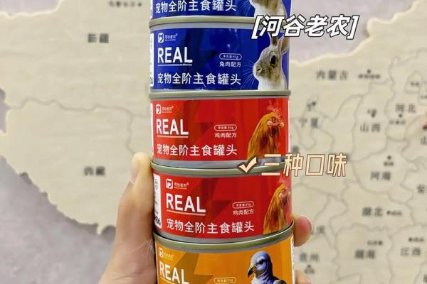 让你的罐头名字吸引所有目光