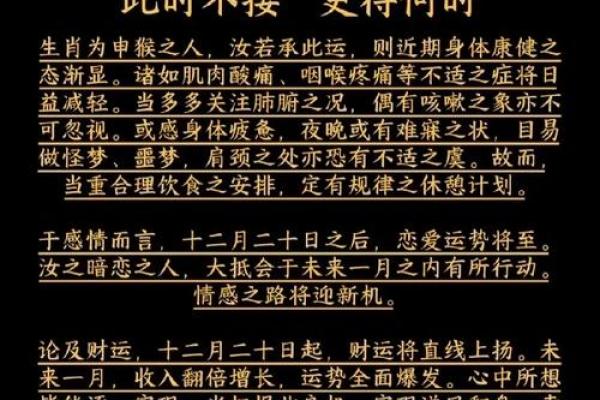 神秘猴蛇缘：揭秘你的理想伴侣生肖