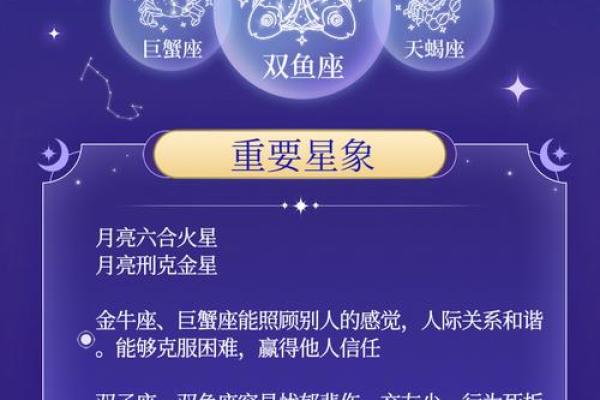 十二星座运势大揭秘：精准预测，命中注定