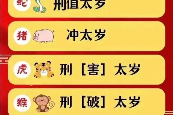 揭秘明星的生辰八字，背后的命运暗示你无法想象
