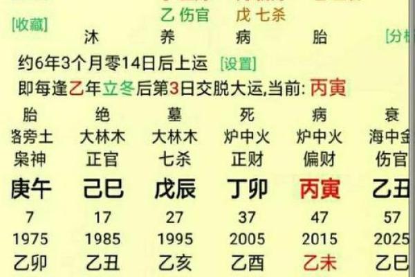 五行八字查询器：从命理分析看人生运势变化