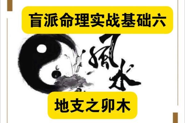 揭秘：什么是假木命？带你走进神秘命理世界