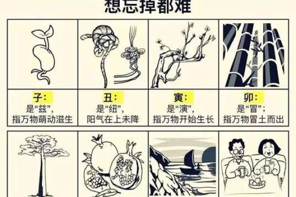 周易天干与十二生肖的奥秘揭秘