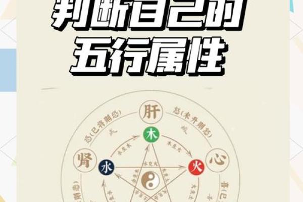 领略五行火属性的视觉震撼，焕发无穷能量