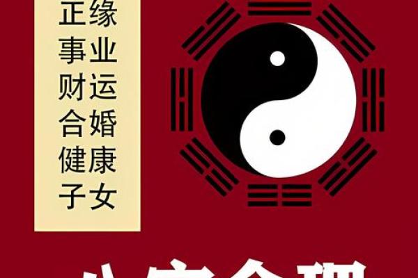 掌握苏氏排盘，轻松破解命运密码