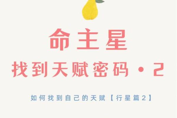掌握苏氏排盘，轻松破解命运密码