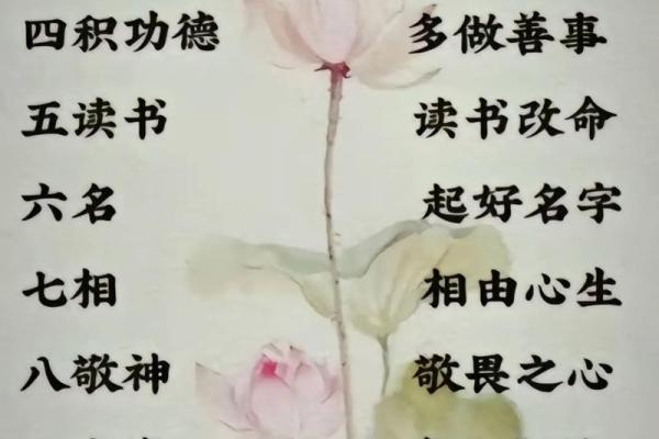 从八字同类看性格、命运与人生道路